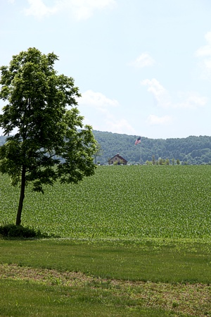 Community Development